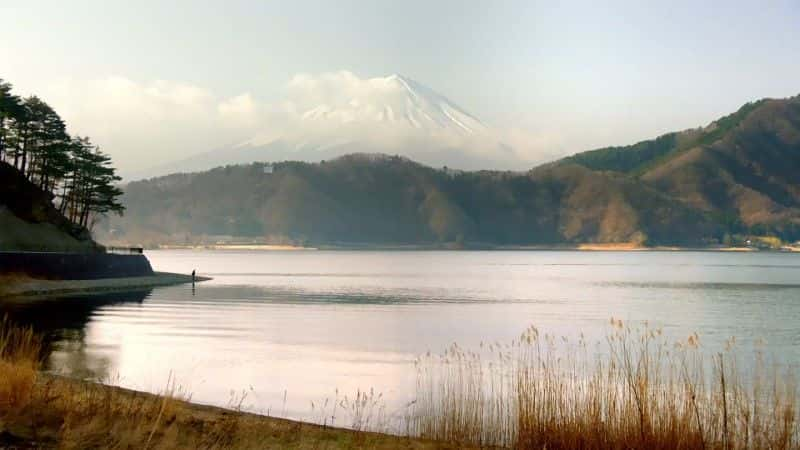 ¼Ƭձ԰BBC Japanese Gardens (BBC)1080P-Ļ/Ļ