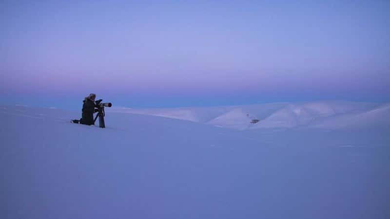 ¼Ƭ뱱ܵó My Journey with a Polar Bear1080P-Ļ/Ļ