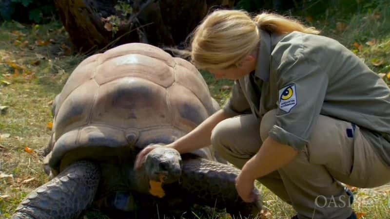 纪录片《方舟守护者 - 动物的生活 Keepers of the Ark - A Life for Animals》[无字] [BT][DVD画质]资源下载