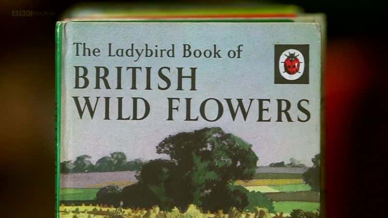 ¼Ƭư鼮 The Ladybird Books Storyȫ1-Ļ/Ļ