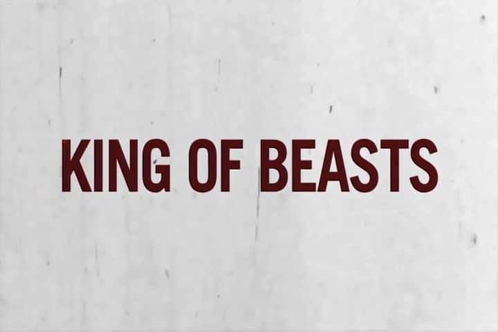 纪录片《百兽之王 King of Beasts》[无字][BT][1080P]资源下载