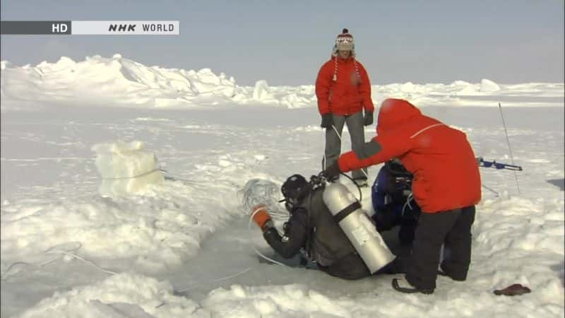 ¼ƬĴ漣ֵ The Miracle of the Creation of Ice: SakhalinĻ/Ļ