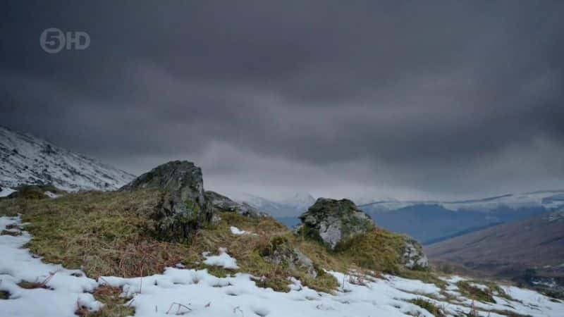 ¼ƬɵºҰһ Loch Lomond: A Year in the WildĻ/Ļ