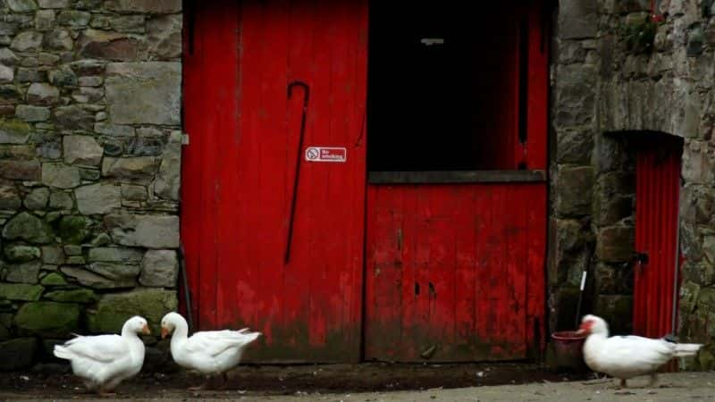 ¼Ƭɽһ˹ƶɿ˵һ (BBC) Life of a Mountain: A Year on Scafell Pike (BBC)1080Pȫ1-Ļ/Ļ