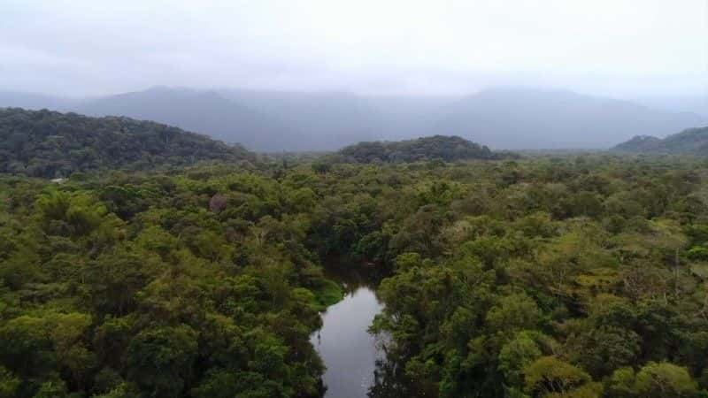 ¼Ƭ˹򣺴еĿֲ Jonestown: Terror in the Jungleȫ1-Ļ/Ļ