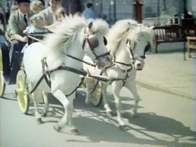 ¼Ƭı Look at Life: Earning Their Keepȫ1-Ļ/Ļ