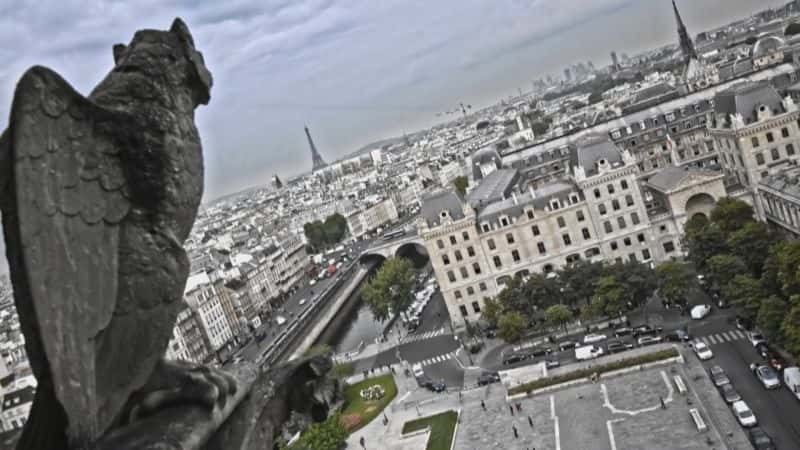 ¼Ƭ֮գϵ 1 Mysteries of Paris: Series 11080P-Ļ/Ļ