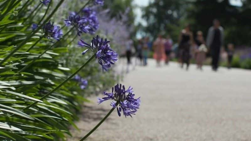 ¼ƬӢʼֲ԰֮ϵ 1 5 £ Kew Gardens: A Year in Bloom Series 1 (Ch5)1080Pȫ4-Ļ/Ļ