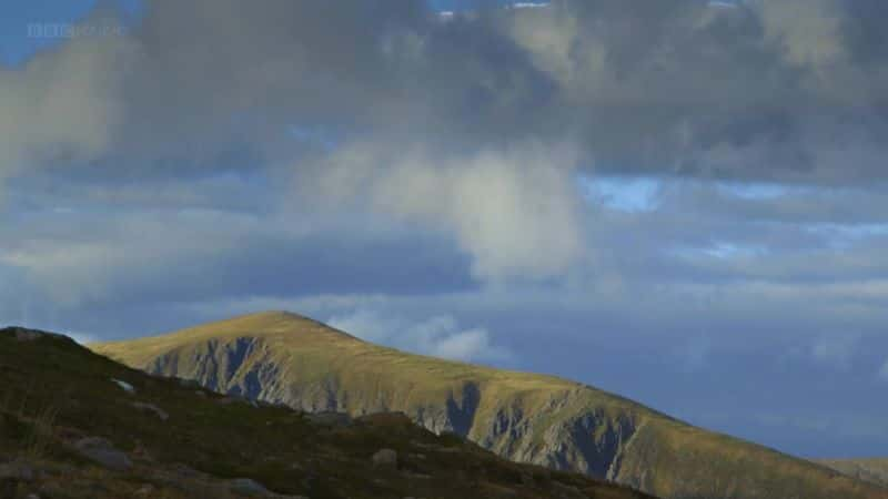 ¼Ƭɽķ֮ The Living Mountain: A Cairngorms Journey1080P-Ļ/Ļ