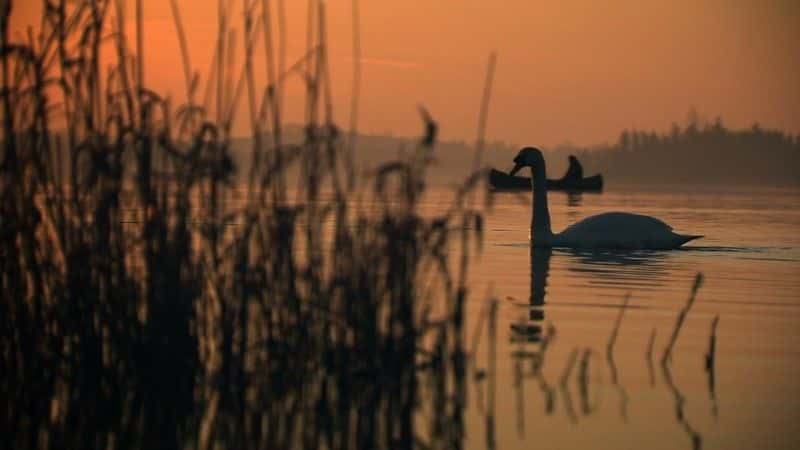 ¼ƬĿҰǿũ (BBC) Ireland's Wild River: The Mighty Shannon (BBC)1080Pȫ1-Ļ/Ļ