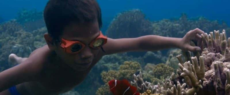 ¼ƬJagoˮ (BBC 1080p) Jago: A Life Underwater (BBC 1080p)1080Pȫ1-Ļ/Ļ