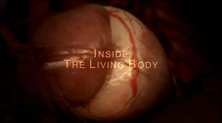 ¼Ƭڲ Inside the Living Bodyȫ1-Ļ/Ļ