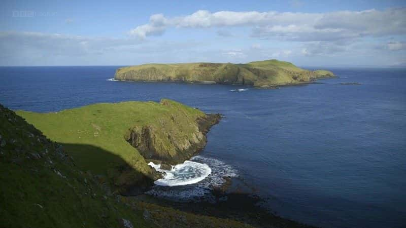 ¼Ƭĺ (BBC) The Last Seabird Summer (BBC)1080Pȫ2-Ļ/Ļ