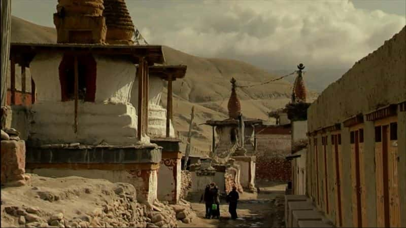 纪录片《野马：转型之旅 1080 Mustang: Journey of Transformation 1080》[无字][BT][1080P]资源下载