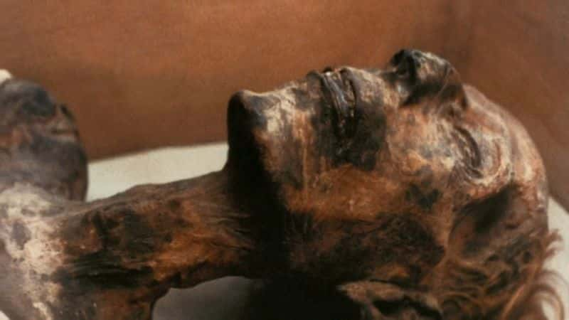 ¼Ƭʧıϵ 2  8 ֣ľ Lost Treasures of Egypt Series 2 Part 8: Curse of the Mummy1080P-Ļ/Ļ