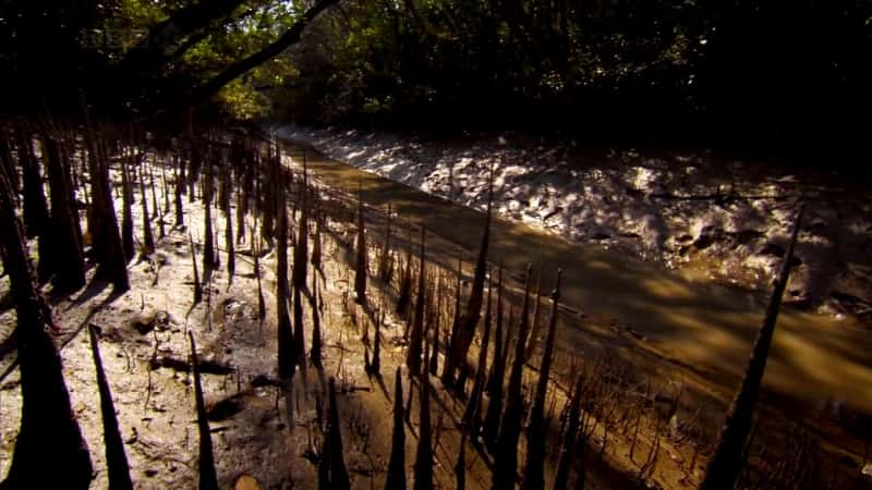 ¼Ƭ¶˹ʳ˻ Man-eating Tigers of the Sundarbansȫ1-Ļ/Ļ