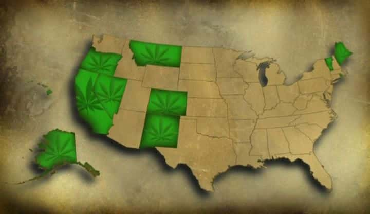 ¼Ƭ Marijuana Nationȫ1-Ļ/Ļ