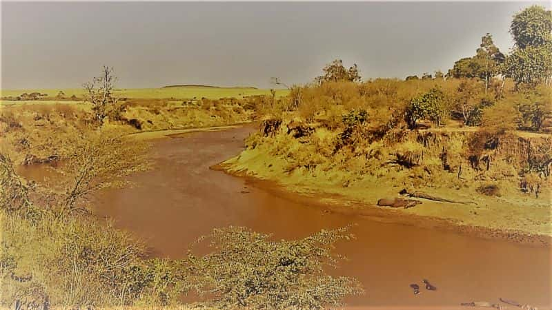 ¼Ƭ Masai Mara: The Big Hunt1080P-Ļ/Ļ