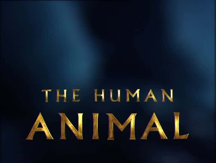 ¼ƬදBBC The Human Animal (BBC)Ļ/Ļ