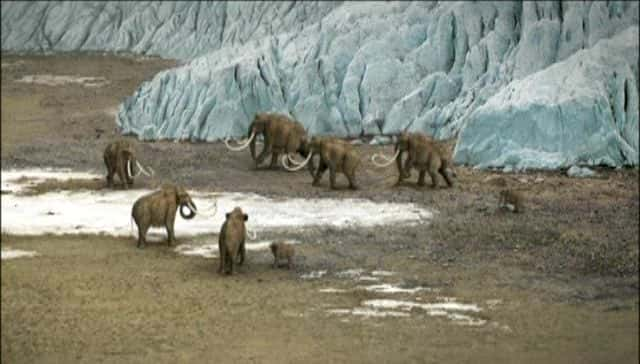 ¼Ƭ͸ײ Ice Age ColumbusĻ/Ļ