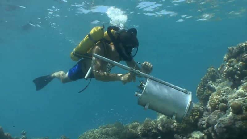 ¼Ƭſˡ˹еŲ Jacques Cousteau's Legacy1080P-Ļ/Ļ