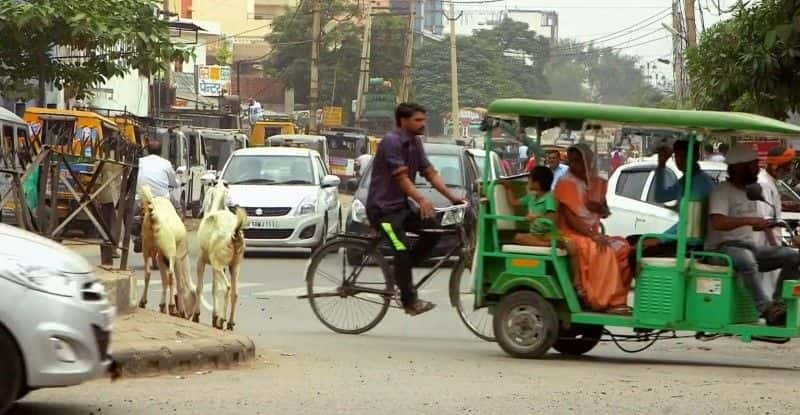 ¼ƬӡŮ India's Ladycopsȫ1-Ļ/Ļ