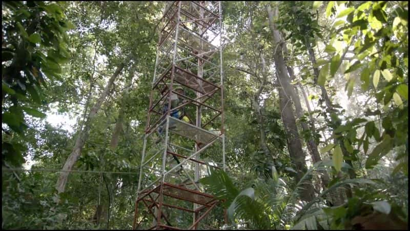 ¼Ƭ֮գ1080 Mysteries of the Rainforest: 10801080P-Ļ/Ļ