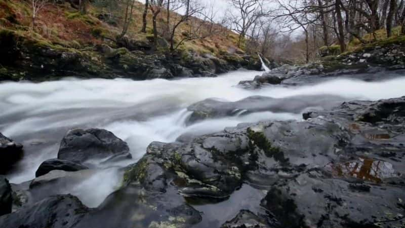 ¼ƬɵºҰһ Loch Lomond: A Year in the WildĻ/Ļ