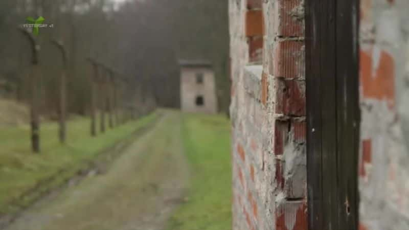 纪录片《布痕瓦尔德集中营失踪的飞行员 Lost Airmen of Buchenwald》[无字][BT][720P]资源下载