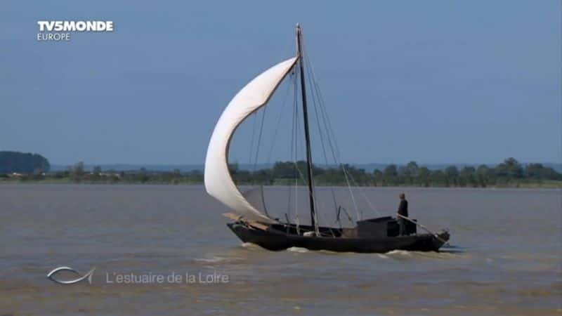 ¼Ƭ¬߶ӿ L'estuaire de la Loireȫ1-Ļ/Ļ