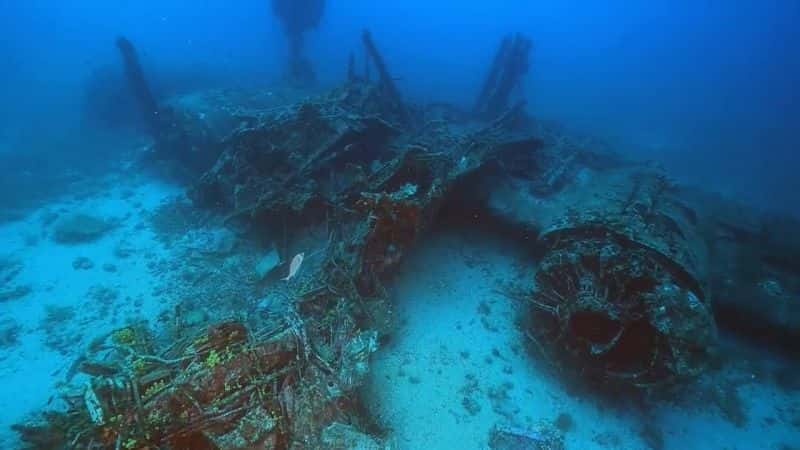 ¼Ƭ B-24 Last B-24Ļ/Ļ