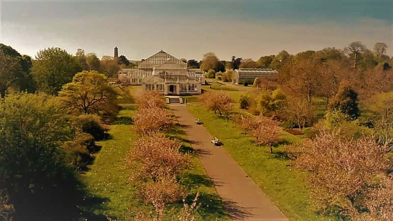 ¼ƬӢʼֲ԰֮ϵ 1 Kew Gardens: A Year in Bloom Series 11080Pȫ4-Ļ/Ļ