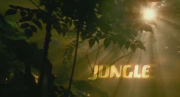 ¼Ƭ Jungleȫ3-Ļ/Ļ