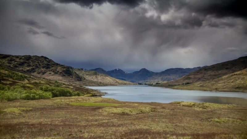 ¼ƬɵºҰһ Loch Lomond: A Year in the WildĻ/Ļ