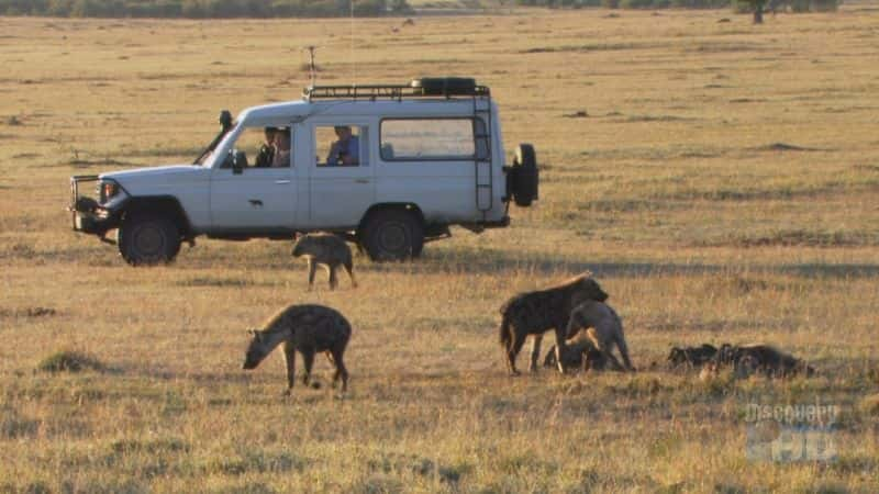 ¼Ƭǣ๷֮ Kenya: Hyena, Queen of the BeastsĻ/Ļ