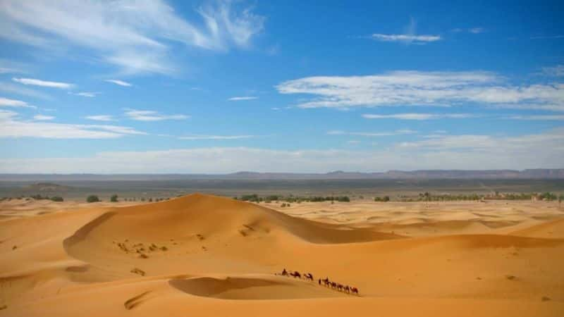 ¼ƬĦ絽͢Ϳͼðգϵ 1 Morocco to Timbuktu: An Arabian Adventure: Series 1ȫ1-Ļ/Ļ