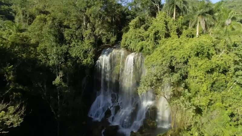 ¼ƬȻ磺ҰŰͼձ֮õ 1  Natural World : Wild Cuba a Caribbean Journey Part 11080P-Ļ/Ļ