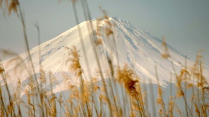 ¼Ƭձ԰BBC Japanese Gardens (BBC)1080P-Ļ/Ļ