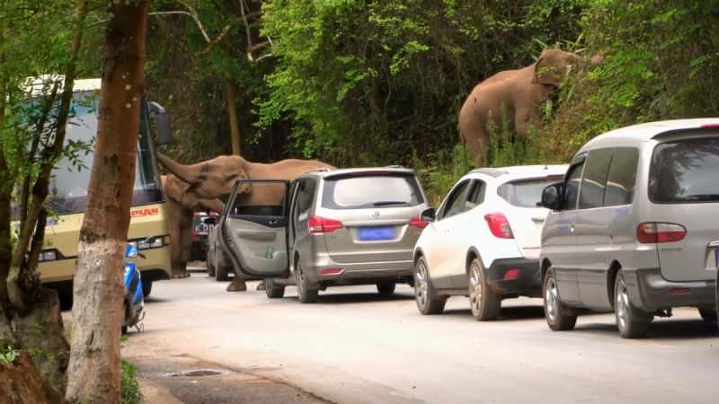 纪录片《湄公河之谜系列1第01部分中国：旅程开始 Mysteries of the Mekong Series 1 Part.01 China: The Journey Begins》[无字][BT][1080P]资源下载