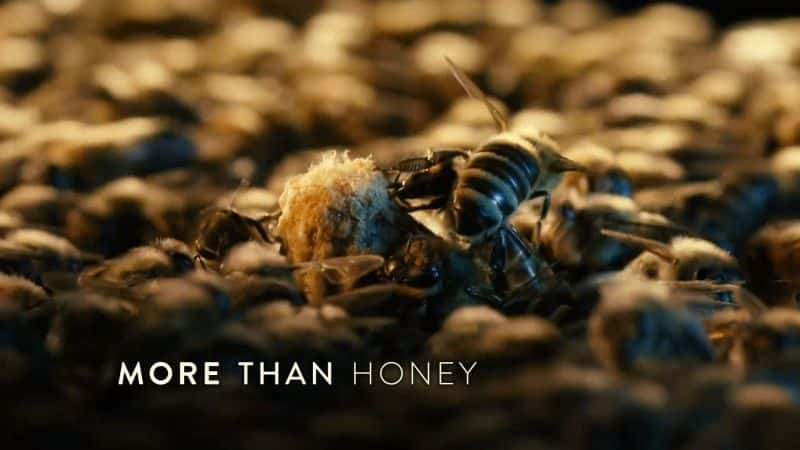 ¼ƬǷ More than Honey1080P-Ļ/Ļ