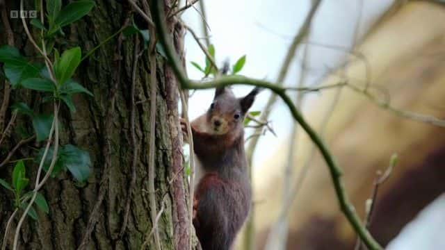 ¼ƬĿҰ Iolo's Wild Anglesey1080Pȫ1-Ļ/Ļ