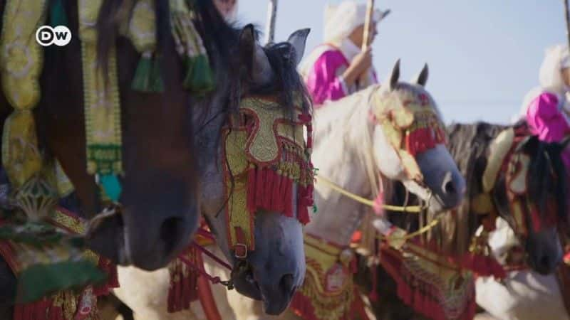 纪录片《摩洛哥女战士 Morocco's Warrior Women》[无字][BT][720P]资源下载