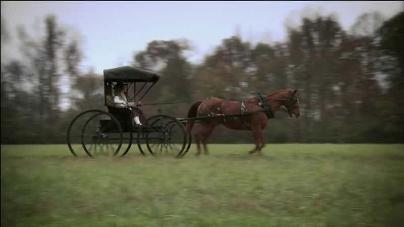 ¼Ƭءж Margaret Mitchell: American RebelĻ/Ļ