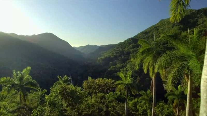 ¼ƬȻŰͿҰ Nature: Cubas Wild Revolution1080P-Ļ/Ļ