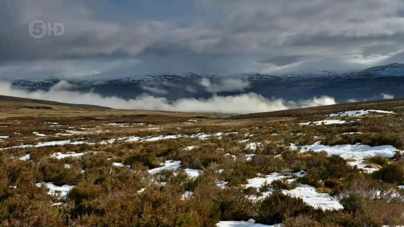 ¼ƬɵºҰһ Loch Lomond: A Year in the WildĻ/Ļ