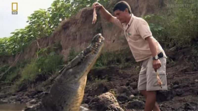 ¼ƬһӾ The Man Who Swims with CrocodilesĻ/Ļ