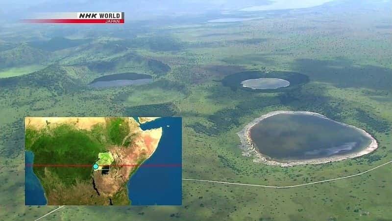 ¼ƬƵ The Kazinga Channel: Hippo Paradiseȫ1-Ļ/Ļ