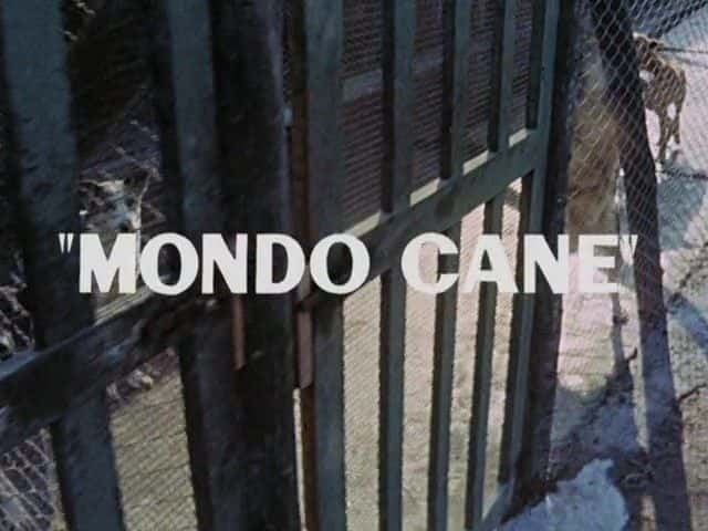 ¼Ƭɶ Mondo CaneĻ/Ļ