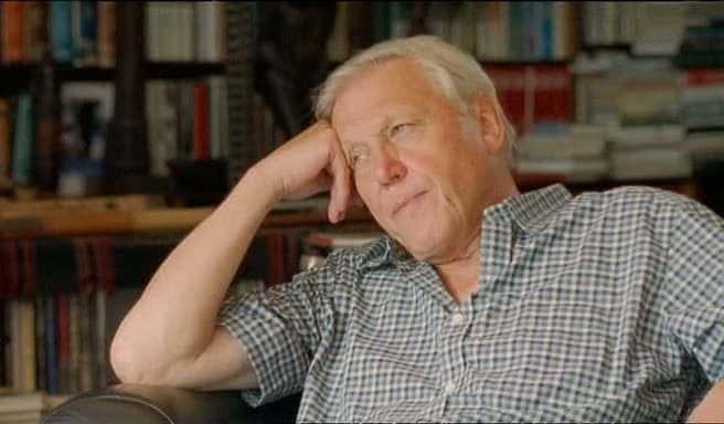 ¼Ƭֱ -  50  Life On Air : David Attenborough - 50 Years In Televisionȫ1-Ļ/Ļ