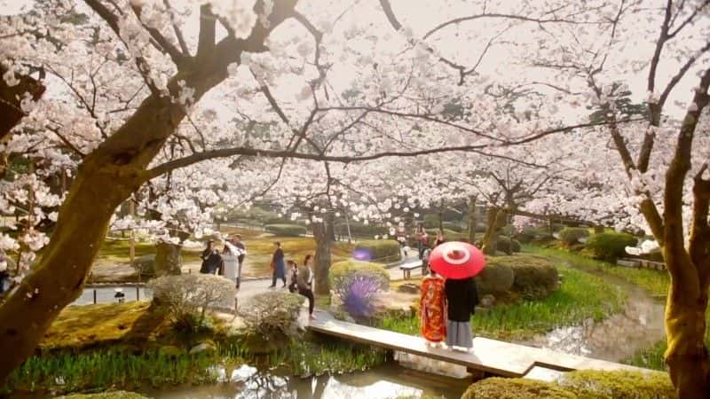 ¼Ƭձ԰ Japanese GardensĻ/Ļ